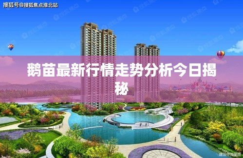 鹅苗最新行情走势分析今日揭秘