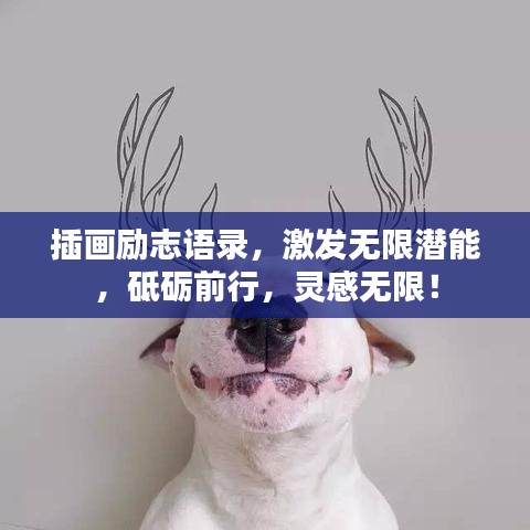 插画励志语录，激发无限潜能，砥砺前行，灵感无限！