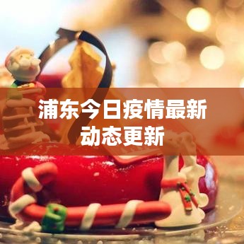 浦东今日疫情最新动态更新