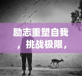 励志重塑自我，挑战极限，撕心裂肺的成长语录