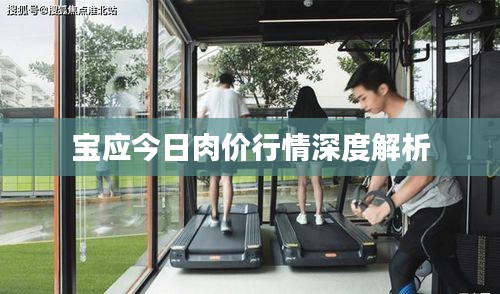 宝应今日肉价行情深度解析