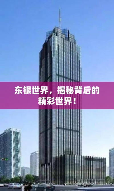 东银世界，揭秘背后的精彩世界！