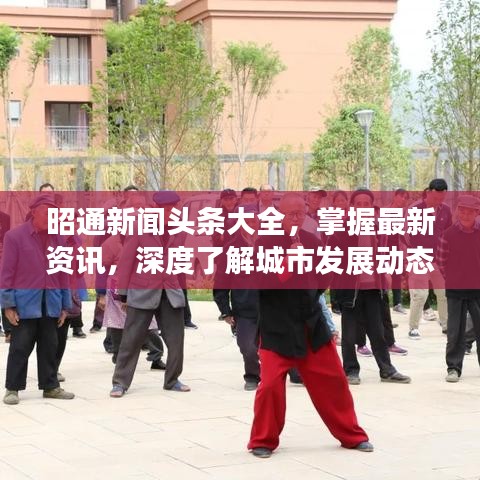 鸟惊鼠窜 第2页