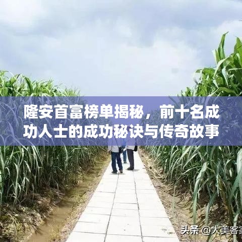 隆安首富榜单揭秘，前十名成功人士的成功秘诀与传奇故事
