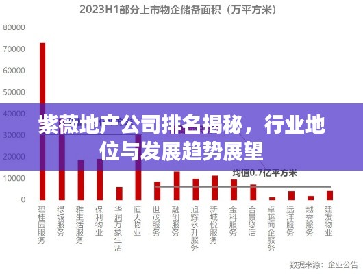 紫薇地产公司排名揭秘，行业地位与发展趋势展望