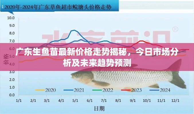 广东生鱼苗最新价格走势揭秘，今日市场分析及未来趋势预测