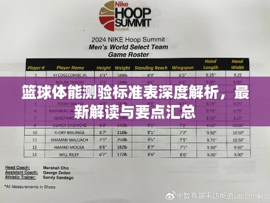 篮球体能测验标准表深度解析，最新解读与要点汇总