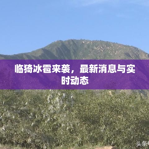 临猗冰雹来袭，最新消息与实时动态