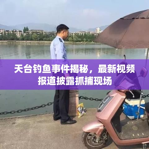 天台钓鱼事件揭秘，最新视频报道披露抓捕现场