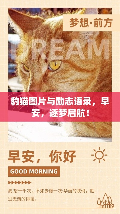 豹猫图片与励志语录，早安，逐梦启航！