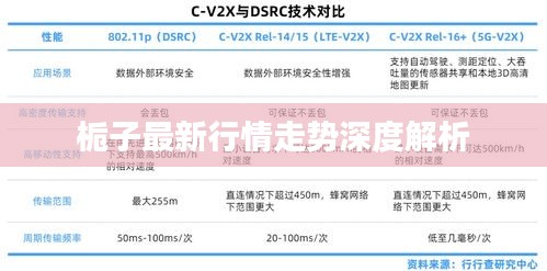 栀子最新行情走势深度解析