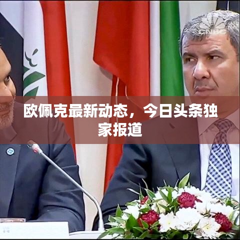 欧佩克最新动态，今日头条独家报道