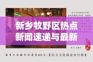 新乡牧野区热点新闻速递与最新动态综述