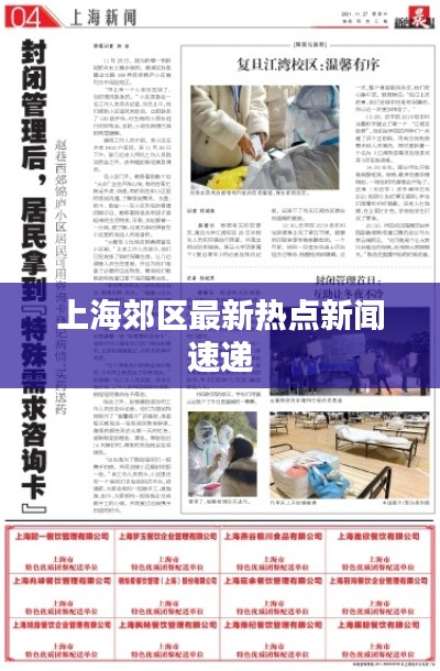 上海郊区最新热点新闻速递