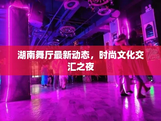 湖南舞厅最新动态，时尚文化交汇之夜