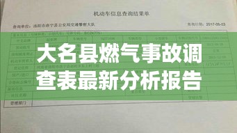 大名县燃气事故调查表最新分析报告揭秘