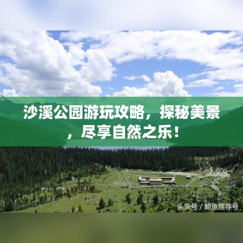 沙溪公园游玩攻略，探秘美景，尽享自然之乐！