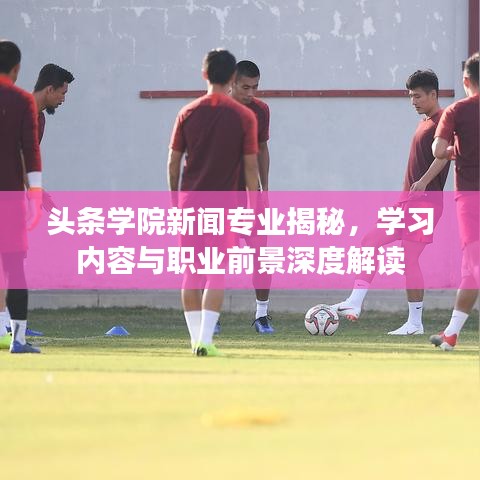 头条学院新闻专业揭秘，学习内容与职业前景深度解读