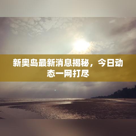 新奥岛最新消息揭秘，今日动态一网打尽