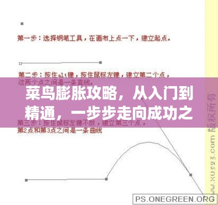 菜鸟膨胀攻略，从入门到精通，一步步走向成功之路！