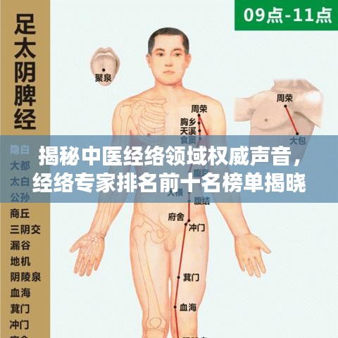 揭秘中医经络领域权威声音，经络专家排名前十名榜单揭晓！