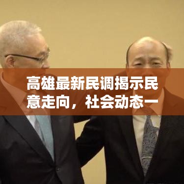 高雄最新民调揭示民意走向，社会动态一目了然