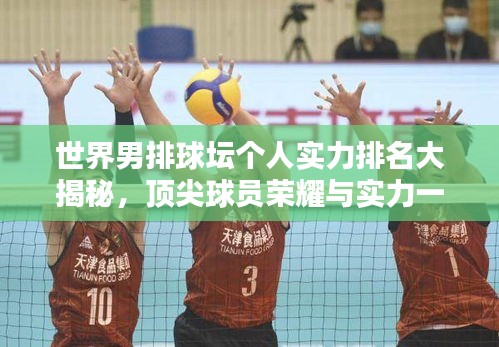 世界男排球坛个人实力排名大揭秘，顶尖球员荣耀与实力一览