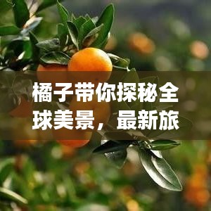 橘子带你探秘全球美景，最新旅行视频攻略全解析