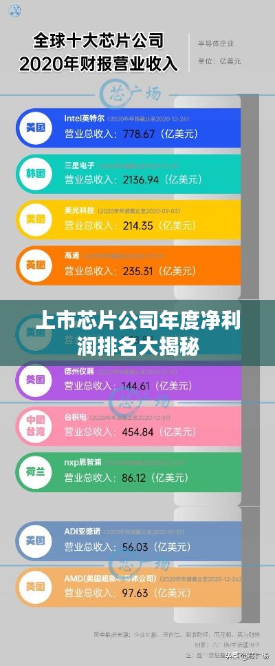上市芯片公司年度净利润排名大揭秘