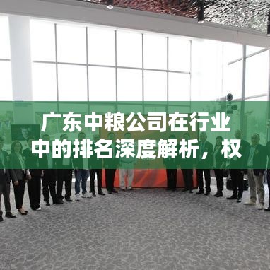 广东中粮公司在行业中的排名深度解析，权威排名揭秘！