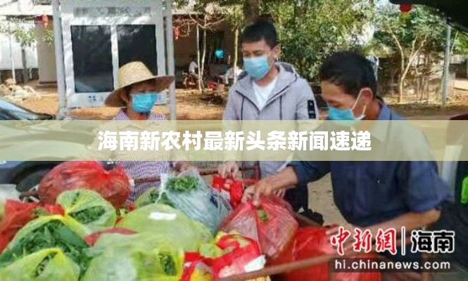 海南新农村最新头条新闻速递