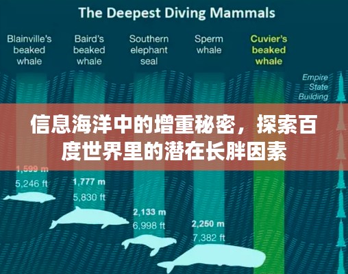 信息海洋中的增重秘密，探索百度世界里的潜在长胖因素