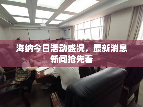 海纳今日活动盛况，最新消息新闻抢先看