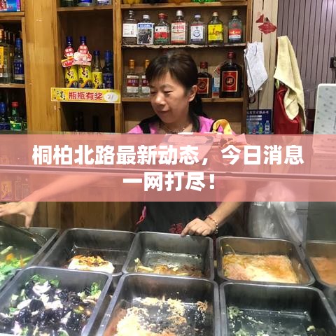 桐柏北路最新动态，今日消息一网打尽！