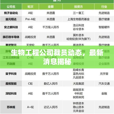生物工程公司裁员动态，最新消息揭秘