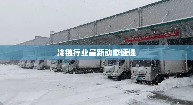 冷链行业最新动态速递