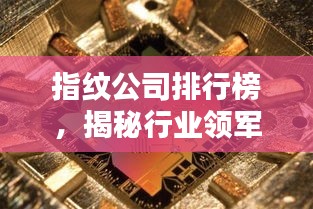 指纹公司排行榜，揭秘行业领军者的秘密武器！