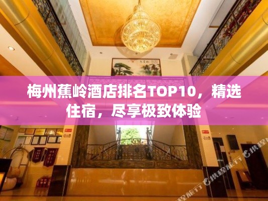 梅州蕉岭酒店排名TOP10，精选住宿，尽享极致体验