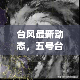 台风最新动态，五号台风实时更新与深度解析视频发布
