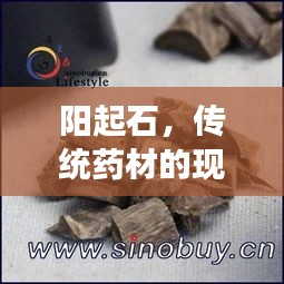 阳起石，传统药材的现代解读与药用价值解析