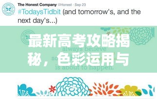最新高考攻略揭秘，色彩运用与心理战术策略