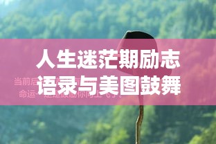 人生迷茫期励志语录与美图鼓舞心灵