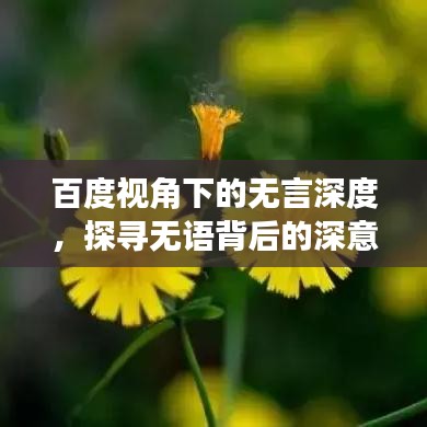百度视角下的无言深度，探寻无语背后的深意