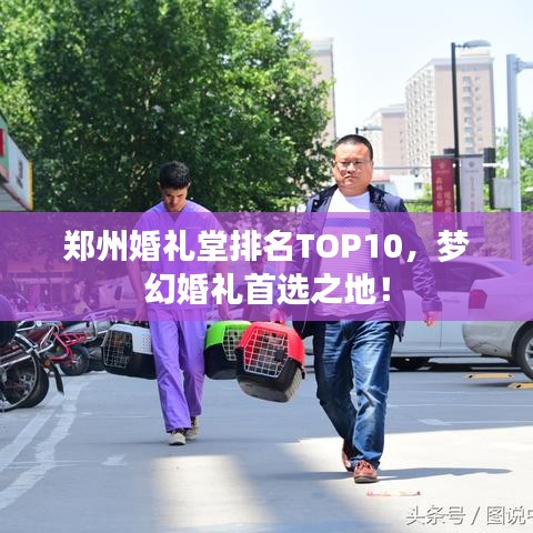 郑州婚礼堂排名TOP10，梦幻婚礼首选之地！