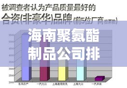 海南聚氨酯制品公司排名揭秘，行业地位与影响力分析