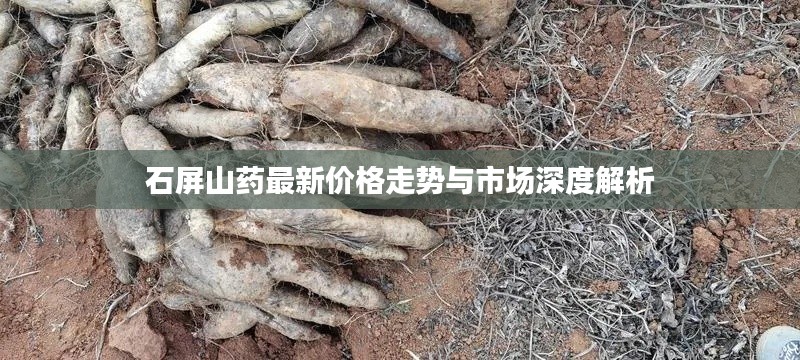 石屏山药最新价格走势与市场深度解析