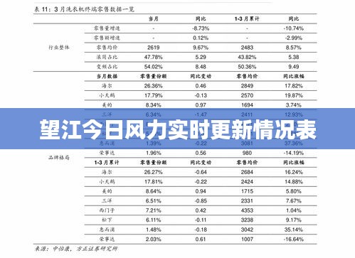 望江今日风力实时更新情况表