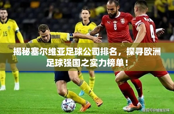 揭秘塞尔维亚足球公司排名，探寻欧洲足球强国之实力榜单！