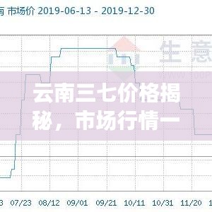 云南三七价格揭秘，市场行情一网打尽，百度助你轻松了解！