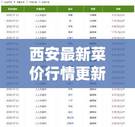 西安最新菜价行情更新！今日蔬菜价格一览